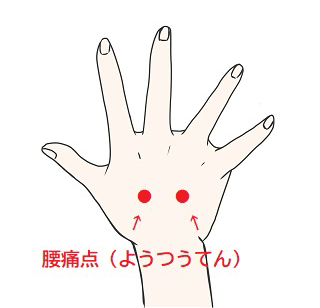 画像：ユンブル　転載禁止