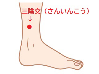 画像：ユンブル　転載禁止