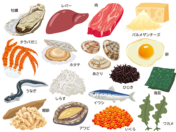 亜鉛が豊富に含まれる食材