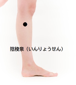 画像：ユンブル　転載禁止