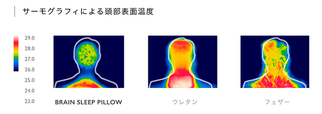 サーモグラフィによる頭部表面温