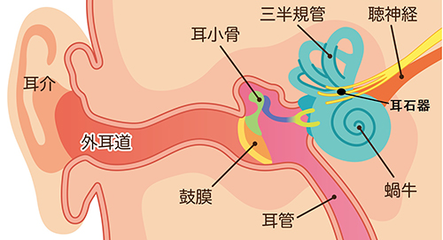 211212_めまい_1回