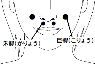 220332_巨髎_禾髎ツボ画像