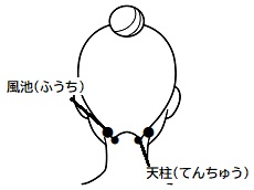 220330_風池_天柱ツボ (1)