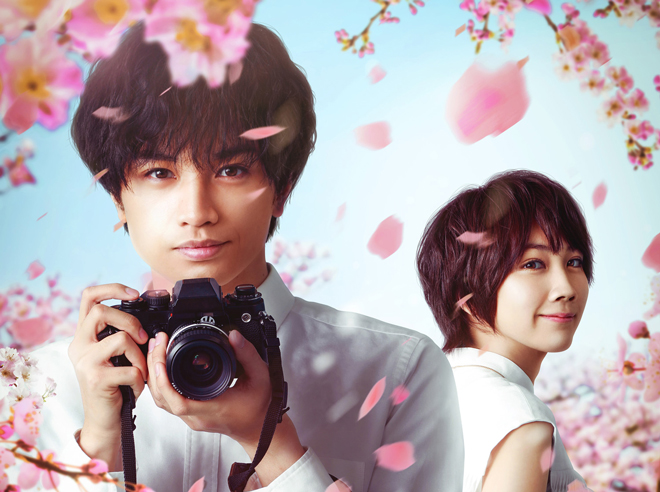 Netflix映画『桜のような僕の恋人』は、Netflixにて全世界独占配信中