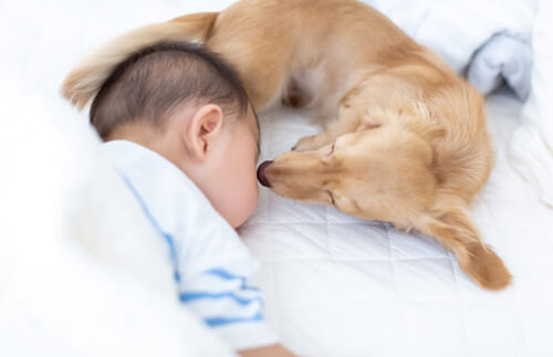 ヒトも鳥も虫もサンゴも眠る。不思議がいっぱい！睡眠のルーツ