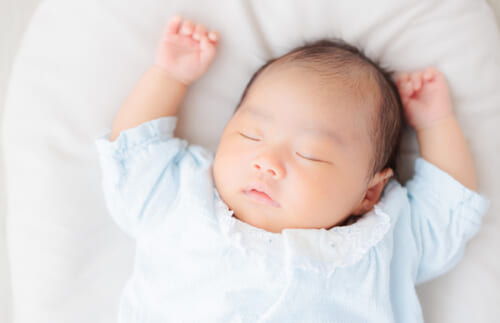 ヒトだけが長く眠り続ける能力がある。睡眠のエキスパートに聞く