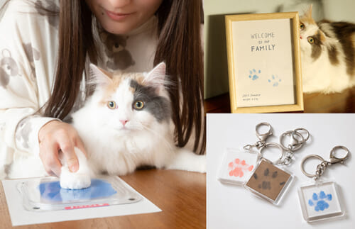 お悩みも一気に解決！ ペットと暮らす飼い主さんにおすすめの文房具4選