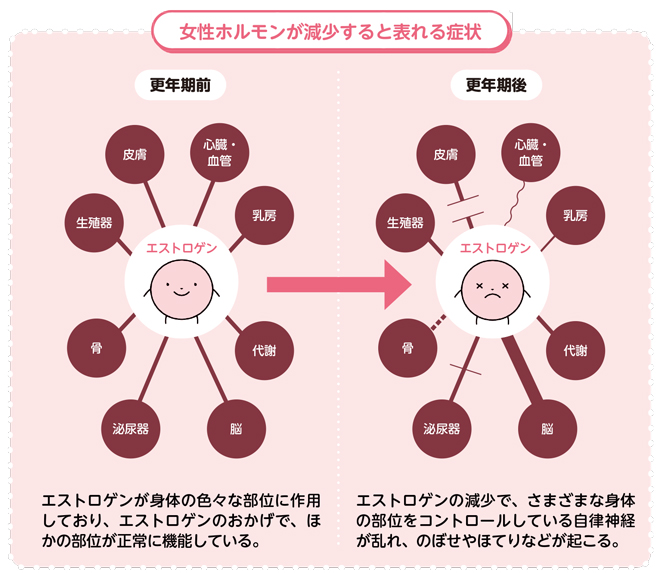 ko-2-2-28